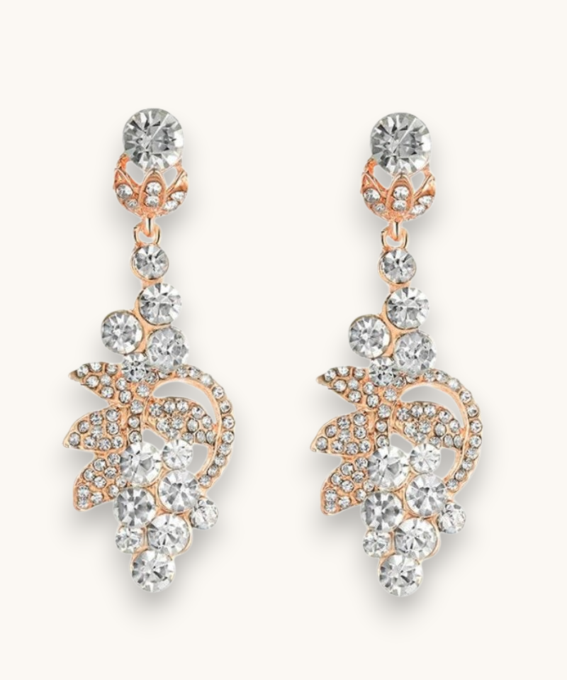 Proginiai auskarai "Crystal bunch"