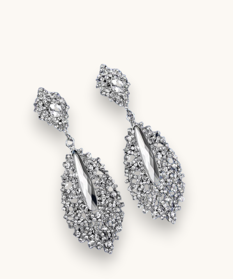 Proginiai auskarai "Crystal silver earrings"