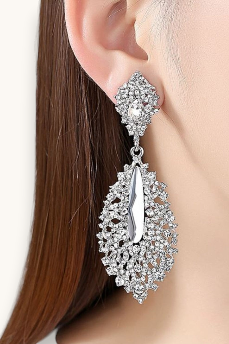 Proginiai auskarai "Crystal silver earrings"