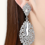 Proginiai auskarai "Crystal silver earrings"