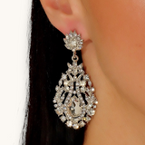 Proginiai auskarai "Herbal earrings"