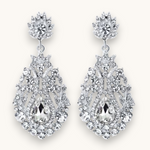 Proginiai auskarai "Herbal earrings"