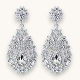 Proginiai auskarai "Herbal earrings"