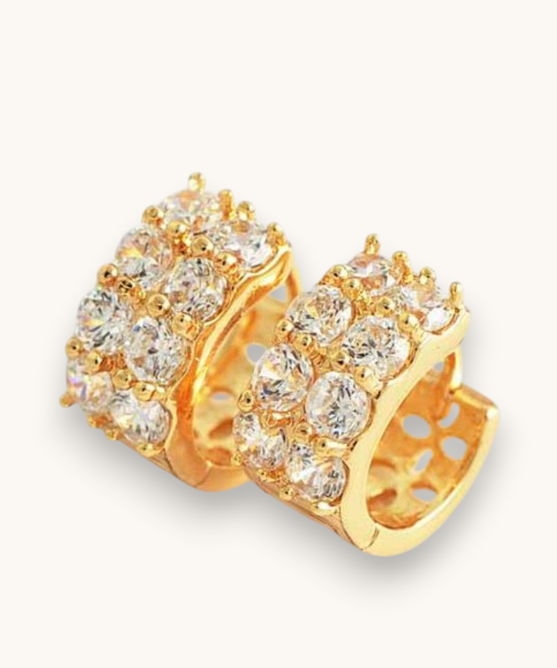 Auskarai "Shinning hoop earrings"