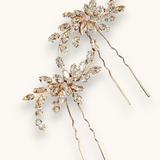 Plaukų smeigtukas/sagė "Golden crystal pin"