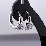 Auskarai "Glitter silver earrings"