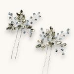 Rinkinys "Radiant Twigs Duo"