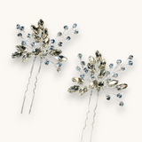 Rinkinys "Radiant Twigs Duo"