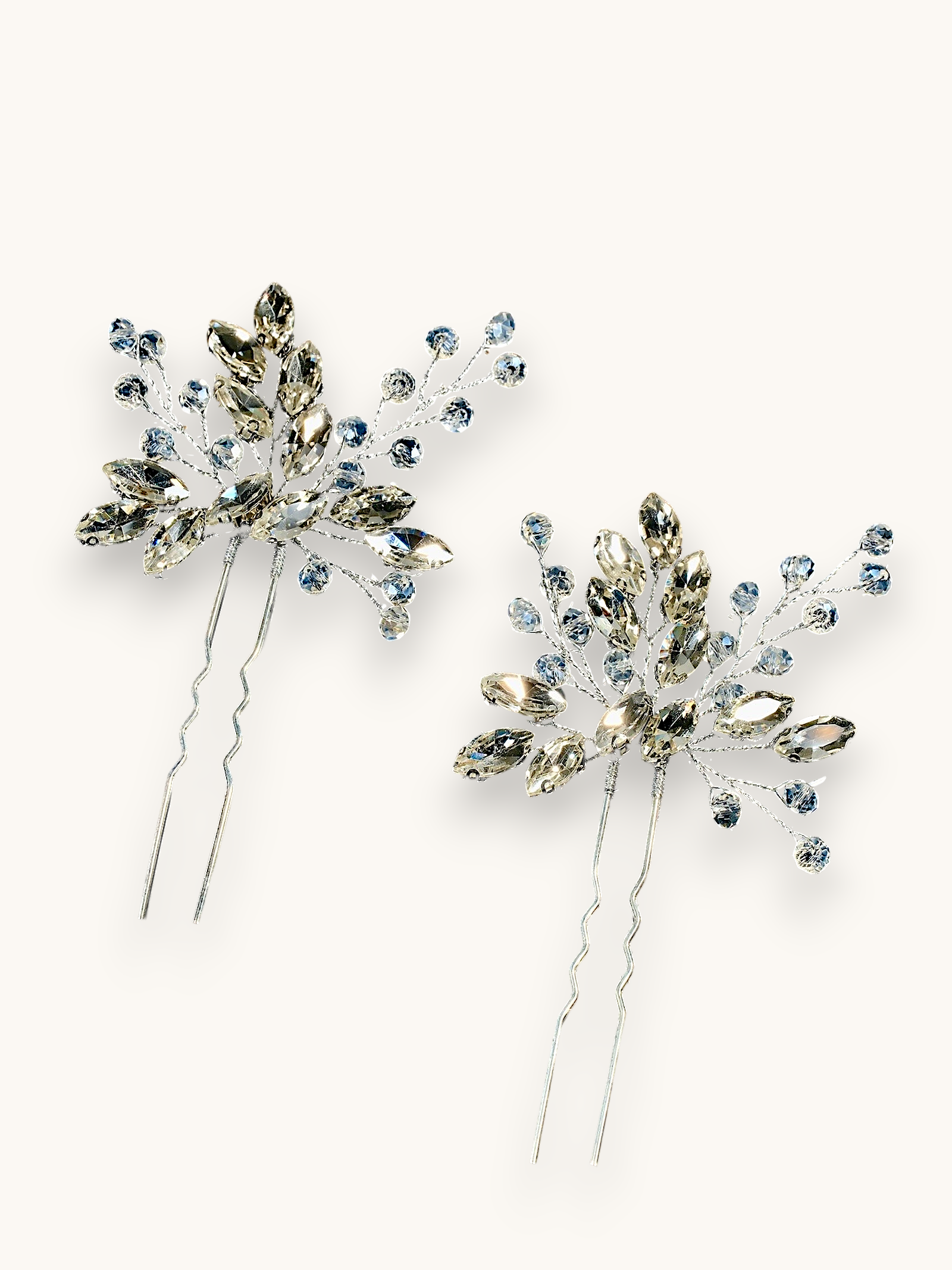 Rinkinys "Radiant Twigs Duo"