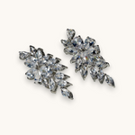 Auskarai "Zircon Feather"