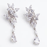Earrings Exquisite